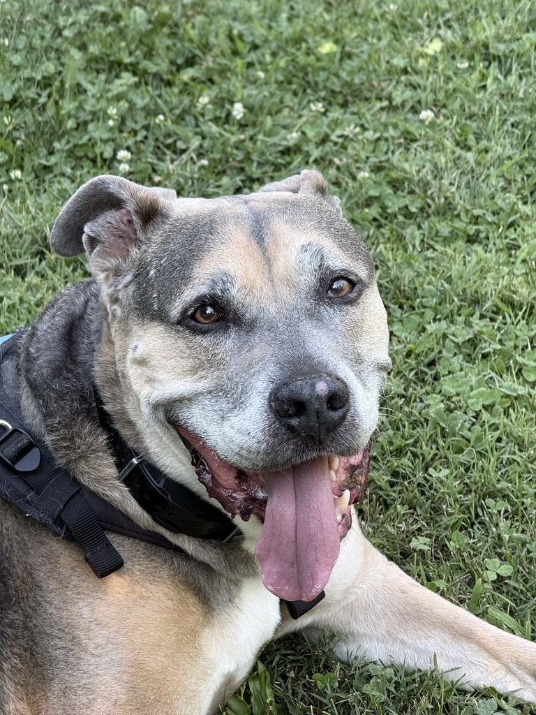 Old Man Lukee